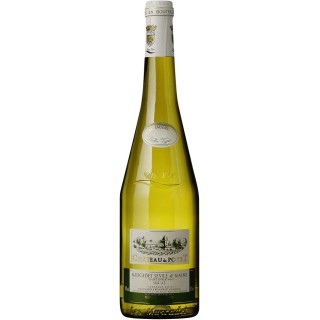 POYET 2023 MUSCADET