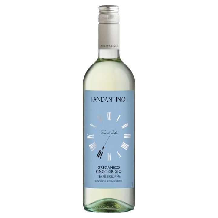 ANDANTINO GRECANICO PINOT GRIGIO B 2024